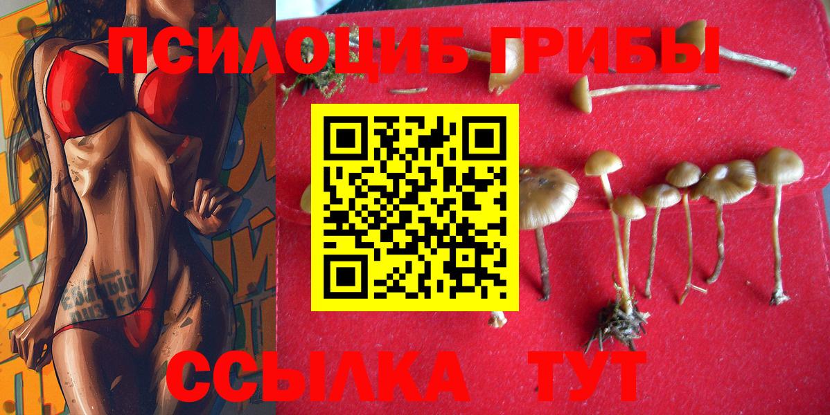 Галлюциногенные грибы Cubensis  Вход с VPN  Хабаровск 